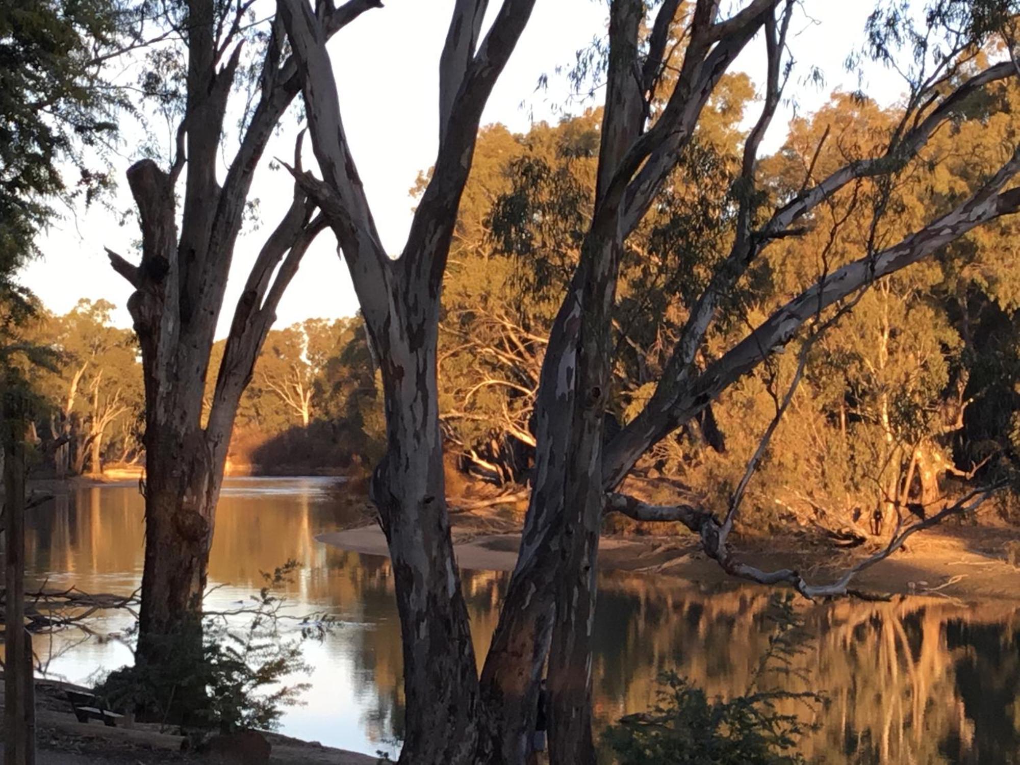 Deniliquin Riverside Caravan Park Eksteriør billede