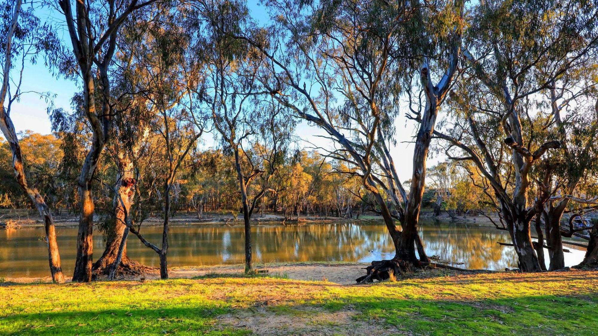 Deniliquin Riverside Caravan Park Eksteriør billede