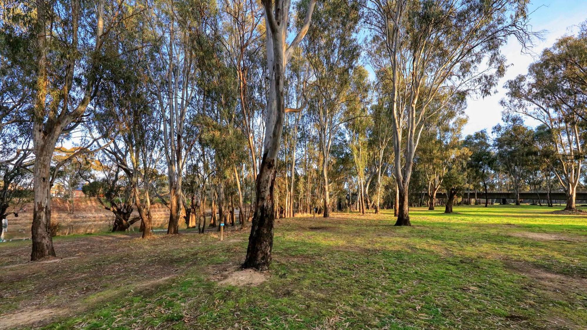 Deniliquin Riverside Caravan Park Eksteriør billede